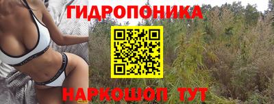 ешки Бийск